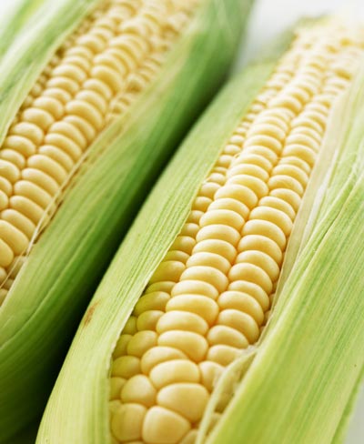 十種明星最信賴食物瘦身法