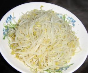  7天瘦4公斤綠豆芽減肥法 