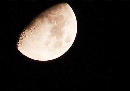  Moonlight月光下神奇窈窕術 