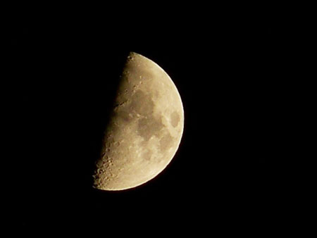  Moonlight月光下神奇窈窕術 