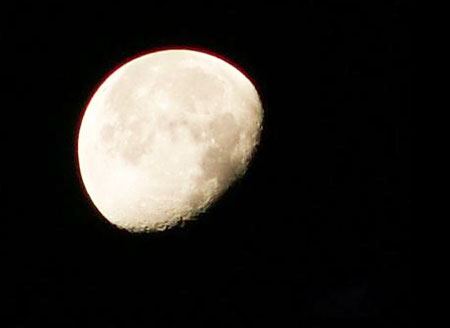  Moonlight月光神奇窈窕術 
