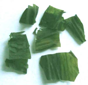  美味一周減肥食譜吃出苗條 