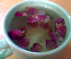  泡制12道家常刮脂減肥茶 