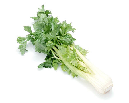  獨家呈現7日減肥瘦身湯 