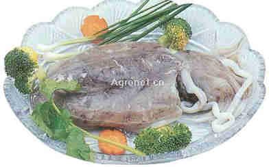 墨魚·美食中國圖片-meishichina.com