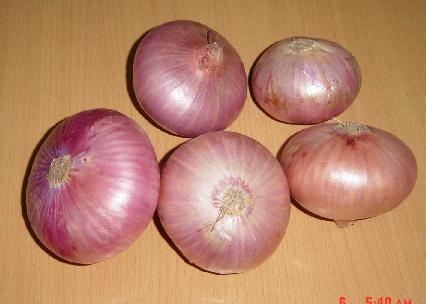  醋+洋蔥 不節食也能瘦 