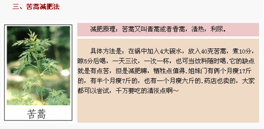  生梨苦蒿 民間方月減十斤 