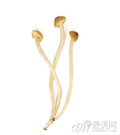  享瘦夏季 四周減重計劃 