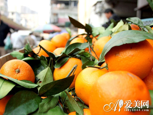  營養又健康 一周減肥食譜 