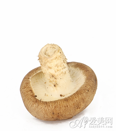  9種飲食減肥法的優劣解析 