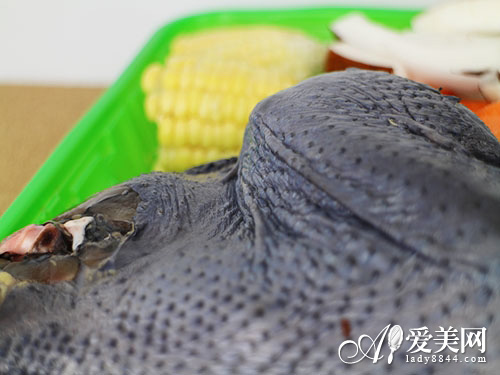 11種超強飲食瘦身法推薦 
