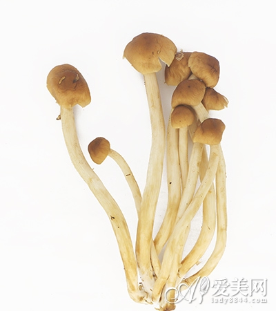  一周減五磅美味瘦身餐推薦 