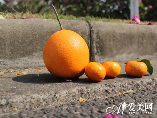 瘦身佳品:蘿卜蝦仁豆腐湯