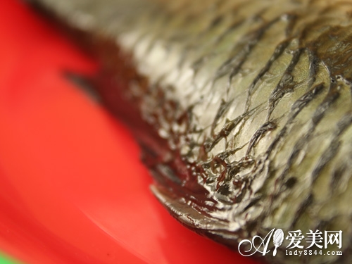  7大美味排毒又瘦身 