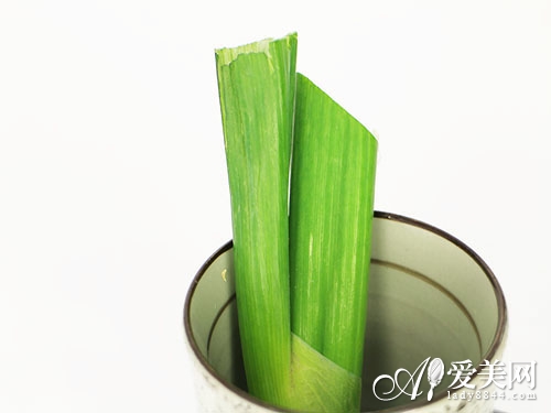  12星座量身定做的減肥法 