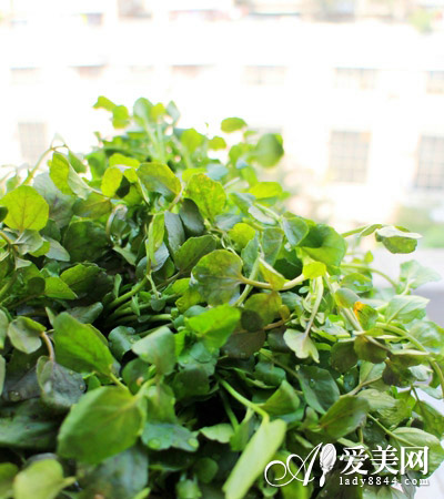  立春十高招 吃再多也不胖 