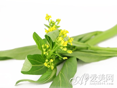  熱底VS寒底 食療減肥新策略 