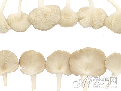  美味卷心菜 營養又豐胸 
