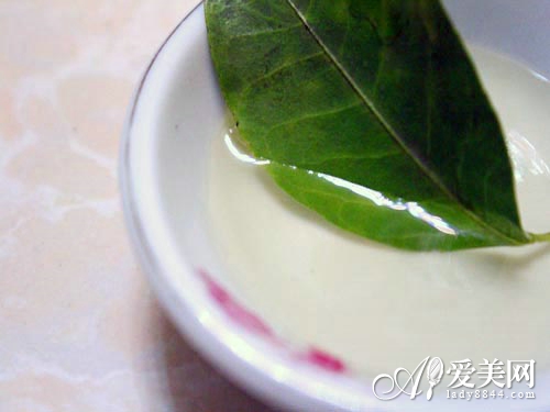  十大粉面 吃出健康與苗條 