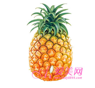 菠蘿食譜 減肥美容一把抓