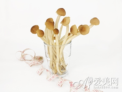  迎接夏日 窈窕大作戰 