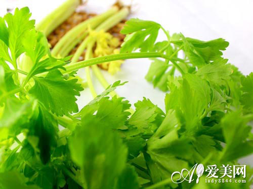  遠離喝茶減肥的5大誤區 