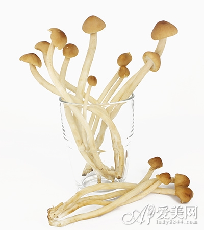  易胖懶妹絕佳減肥食譜 