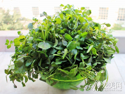  生姜紅茶巧搭 3天減2斤 