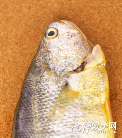  熱薦 5大代餐減肥食品大PK 