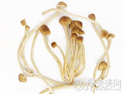  巧選食物 狂吃照樣瘦 