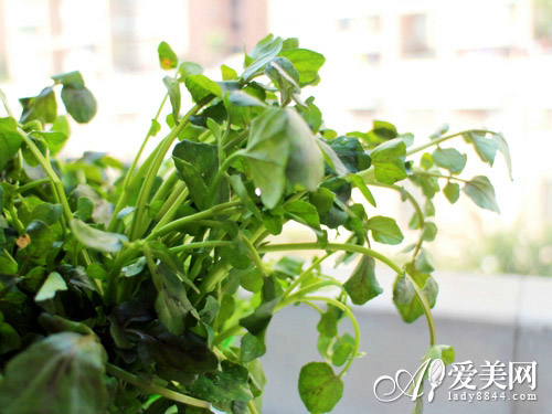  零食+花茶 瘦臉又瘦身 