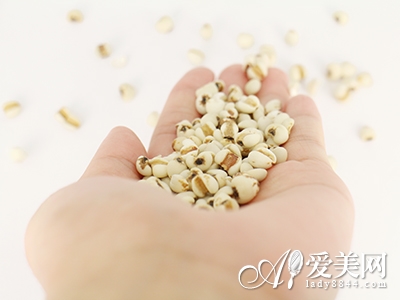  點評11種減肥法有效與否 