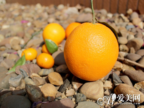 快速減肥食譜月瘦13磅 