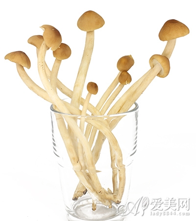  飲食排毒法 無毒一身輕 