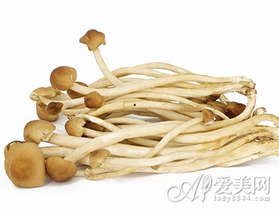  荷葉茶減肥 不節食也瘦身 