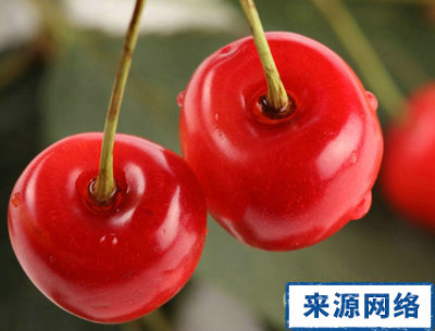 晚餐減肥法 如何吃晚餐減肥 怎樣吃晚餐減肥