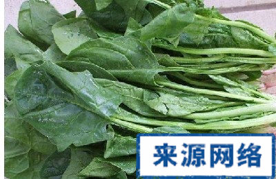 怎麼安排飲食減肥 哪些蔬菜湯可幫助減肥 怎麼制作減肥蔬菜湯