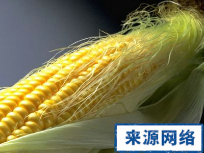 玉米瘦身 肯德基玉米棒 爆米花 鮮搾玉米汁