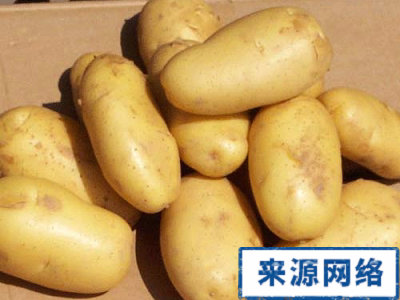 土豆 吃土豆減肥 土豆瘦身飲食秘笈
