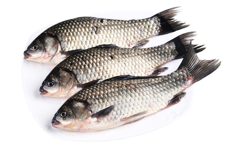 春季減肥食譜有哪些 哪些減肥食譜效果更好 春季減肥效果好的食譜