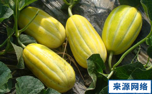 一周減肥食譜 健康減肥一周見效 一周減肥食譜 一周瘦身食譜 快速減肥的方法