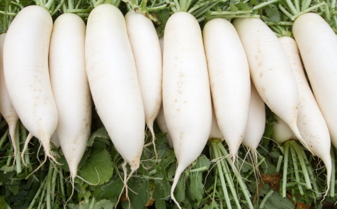 瘦下來吃什麼好 3道食譜邊吃邊享瘦 冬季減肥吃什麼好 哪些食譜可減肥 冬季可以減肥的食譜有哪些