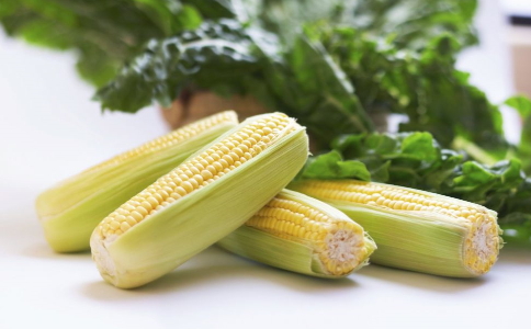 減肥吃什麼食物好 減肥晚餐可以吃肉嗎 含植物蛋白的食物有哪些