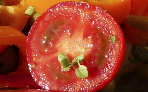 冬季減肥效果最好的食物有哪些 冬季吃什麼食物可以減肥 冬季怎麼減肥效果最好