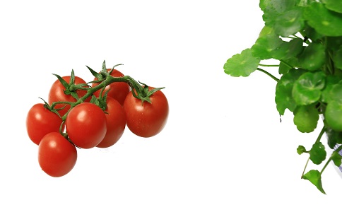 夏季吃什麼減肥效果最好 夏季最好的減肥方法 夏季怎麼減肥最快