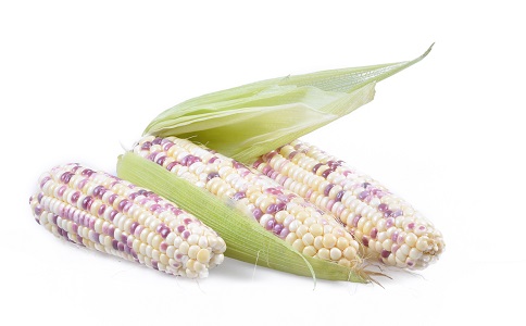 用玉米可以減肥嗎 玉米減肥效果好嗎 玉米怎麼吃減肥