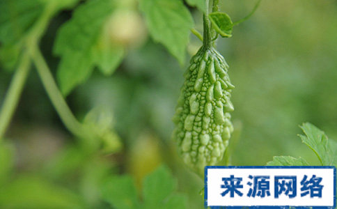 冬季排毒減肥吃什麼好 冬季排毒減肥適合吃什麼 冬季排毒減肥能吃什麼