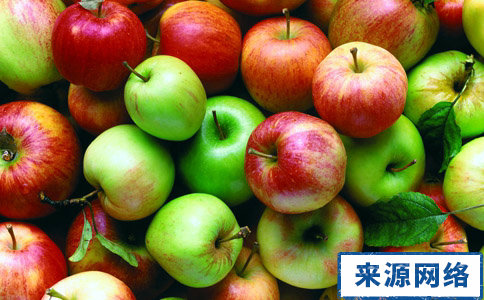 春節吃不胖的減肥食物 春節減肥食物有哪些 春節吃什麼食物能減肥 春節吃哪些食物能減肥