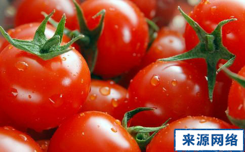 西紅柿減肥食譜 西紅柿減肥方法 西紅柿減肥嗎