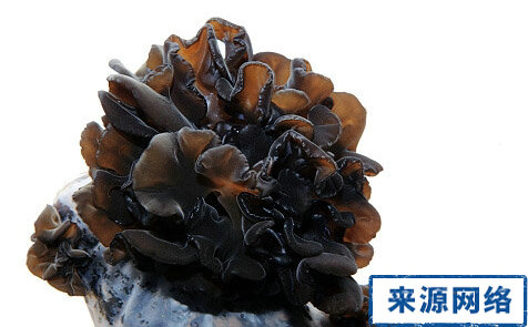 黑木耳 黑木耳減肥 黑木耳減肥功效